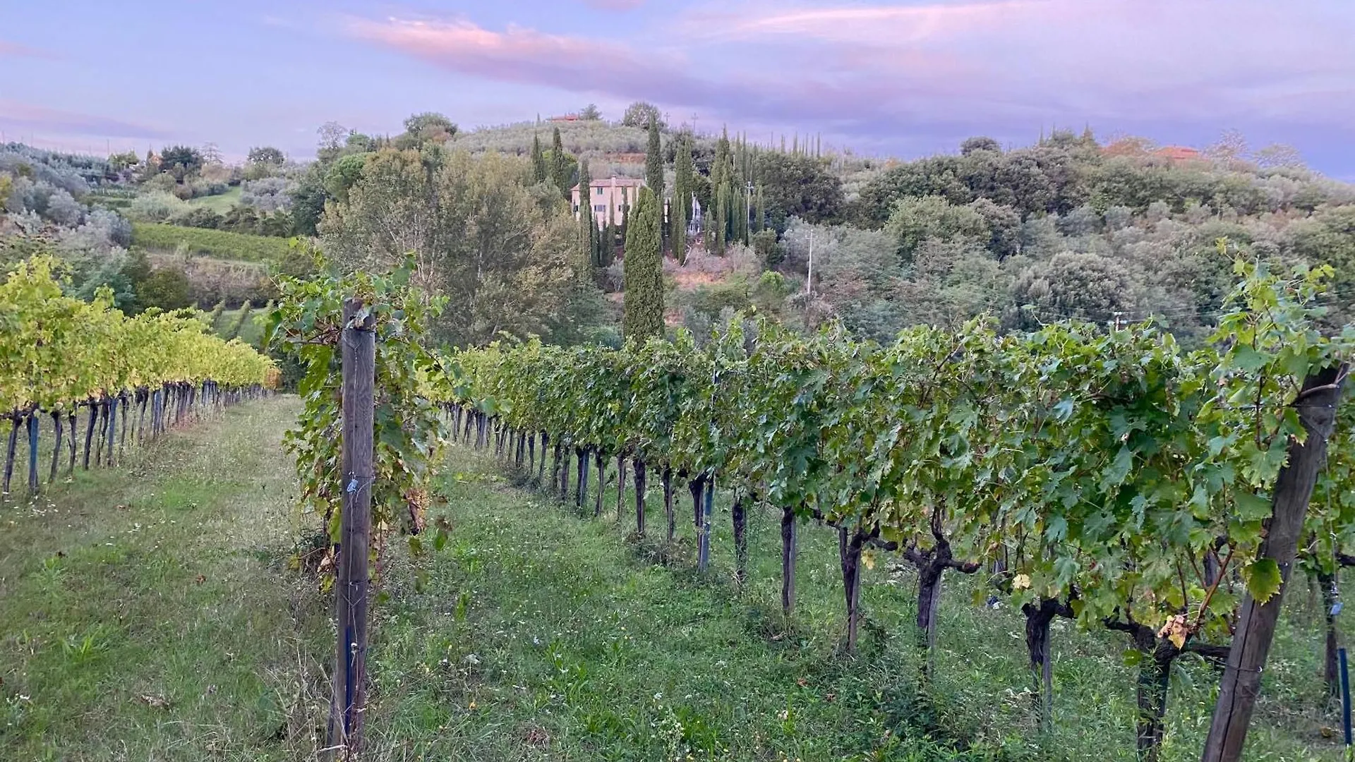 Gospodarstwo wiejskie Villa Sogni Doro Etruscan Suite Montepulciano